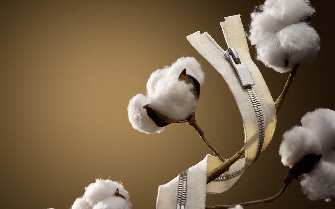 Organic Cotton Tape Zippers